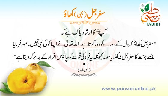 Safarjal, Bahi, Safarjal ke Faide, Bahi Ke Faide, Health Benefits of Safarjal, Quince Fruit, Safarjal Tib-e-nabvi, Safarjal Ka Murabba